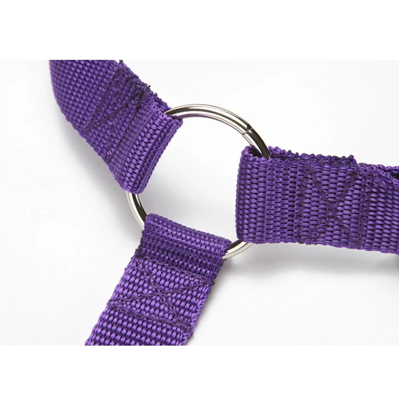 MF Adjustable 2-in-1 Dog Leash & Pet Car Seat Belt | Backseat Safety Belt with Nylon Lead for Secure Travel