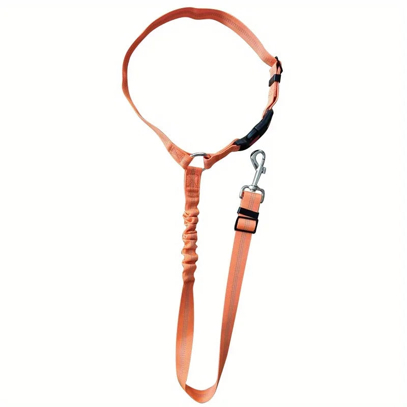 MF Adjustable 2-in-1 Dog Leash & Pet Car Seat Belt | Backseat Safety Belt with Nylon Lead for Secure Travel