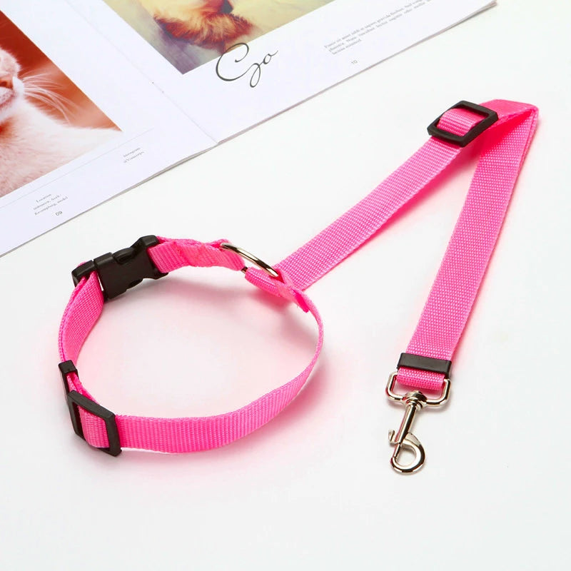 MF Adjustable 2-in-1 Dog Leash & Pet Car Seat Belt | Backseat Safety Belt with Nylon Lead for Secure Travel